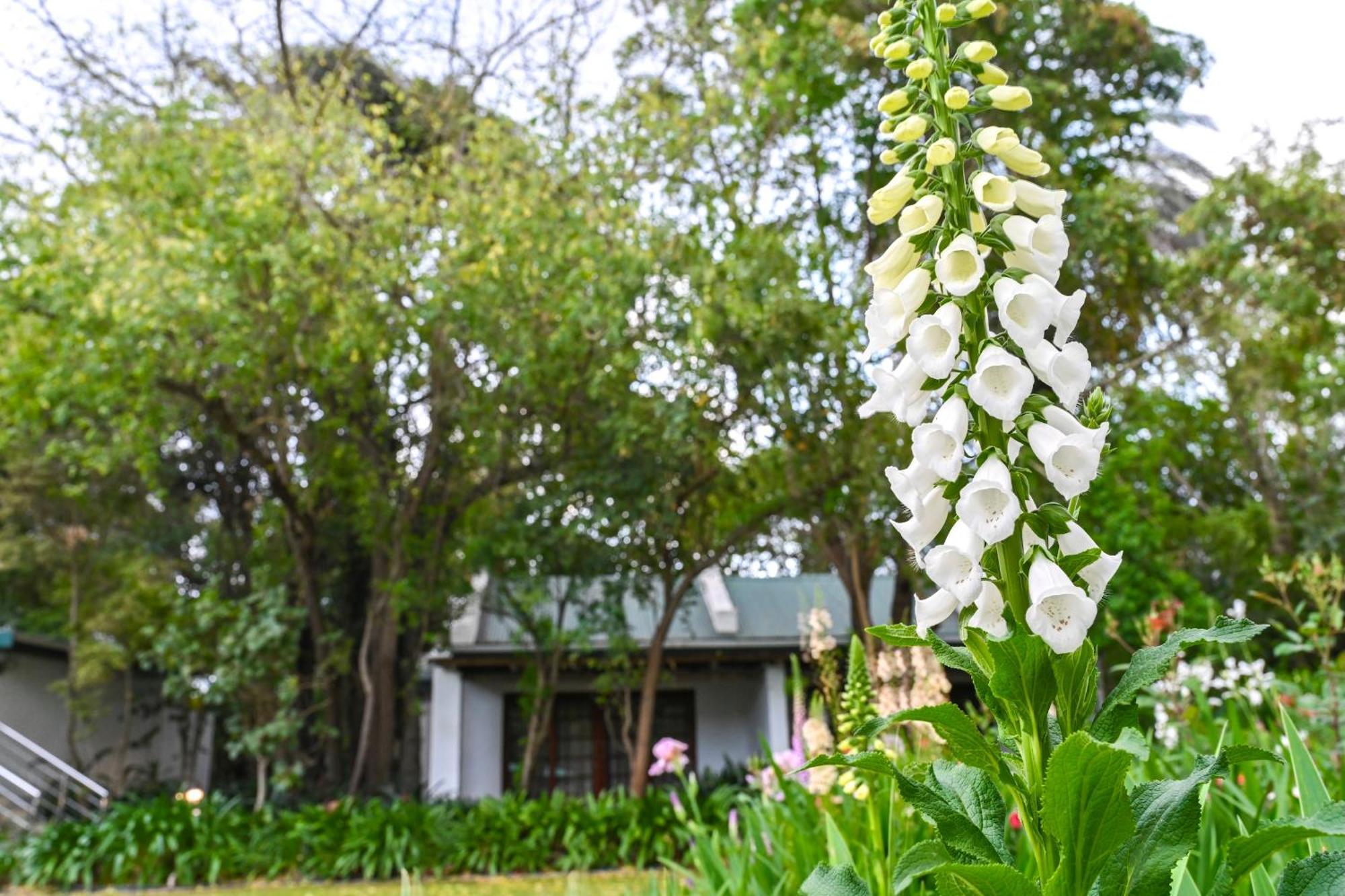 Woodall Country House And Spa Addo Dış mekan fotoğraf