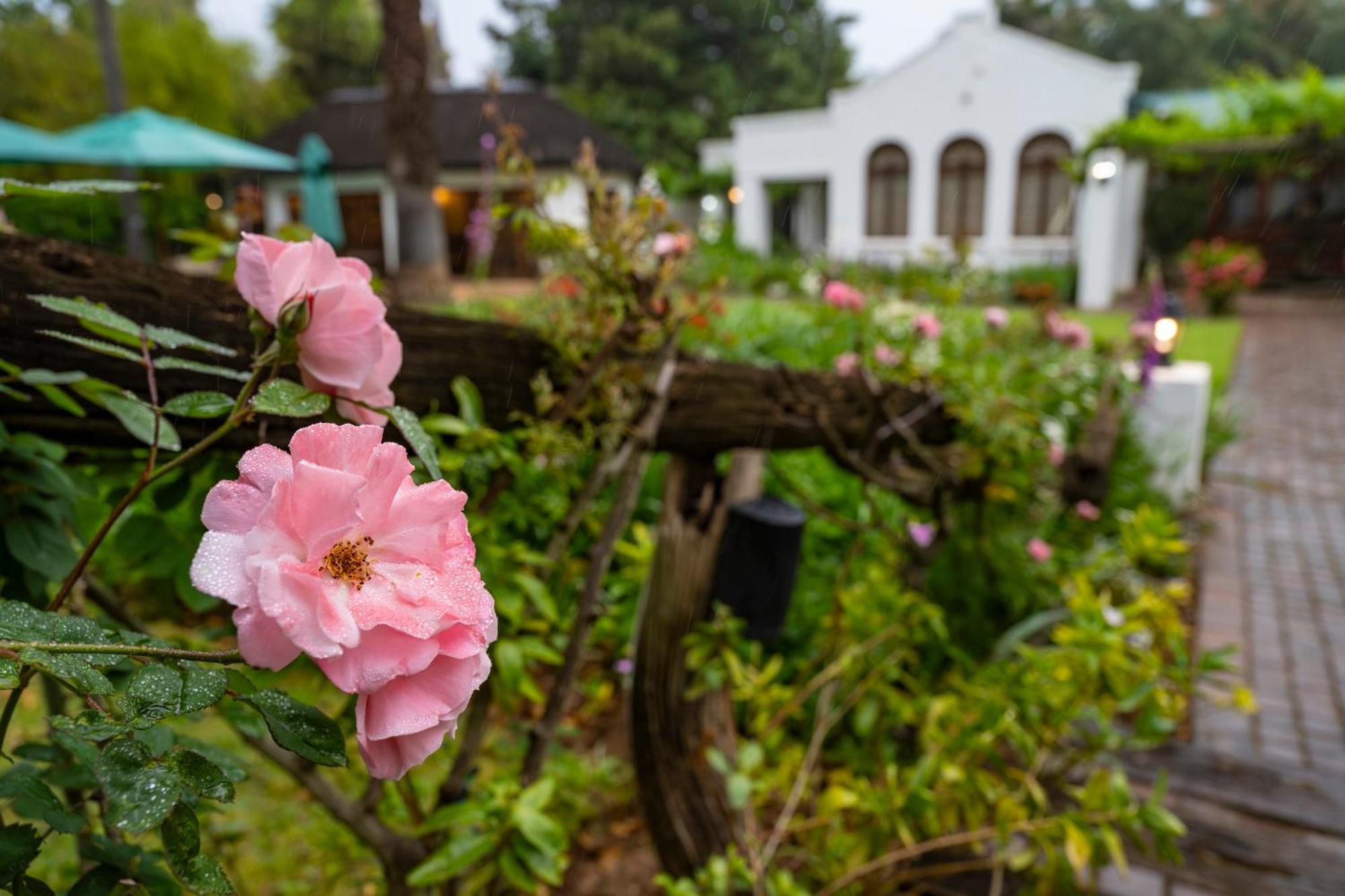 Woodall Country House And Spa Addo Dış mekan fotoğraf