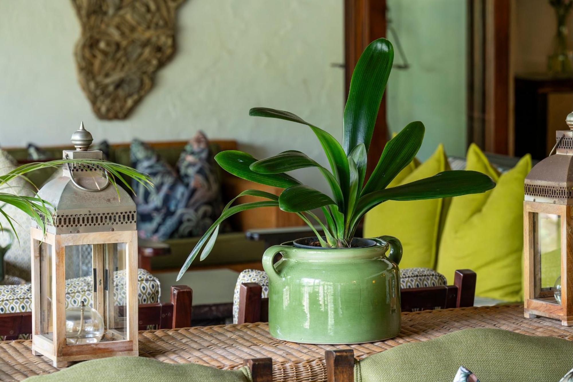 Woodall Country House And Spa Addo Dış mekan fotoğraf