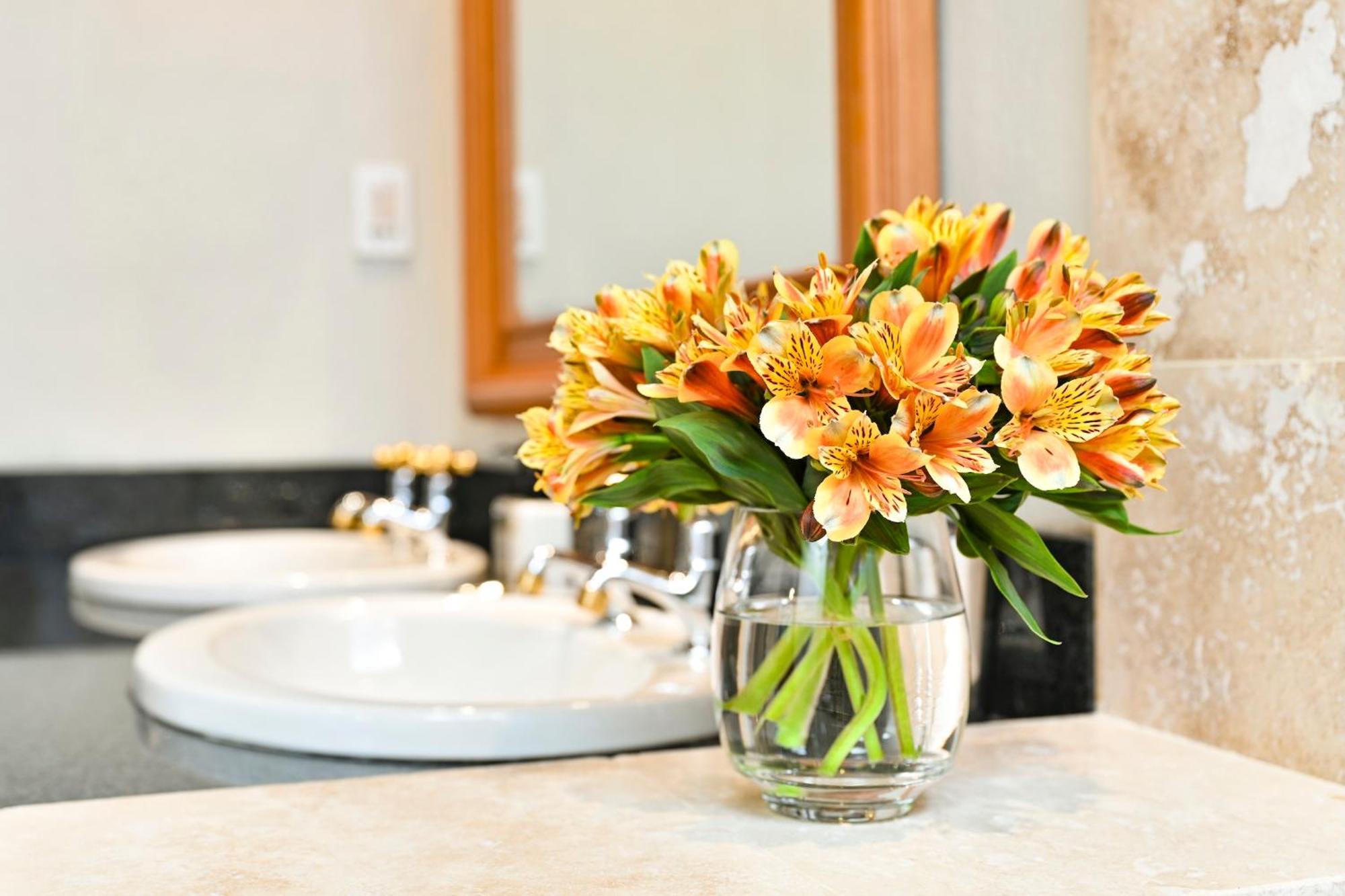 Woodall Country House And Spa Addo Dış mekan fotoğraf